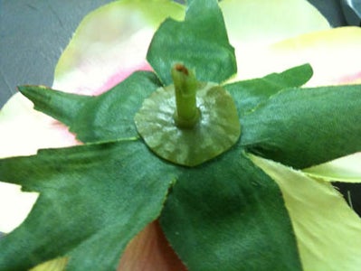 Flower Fun