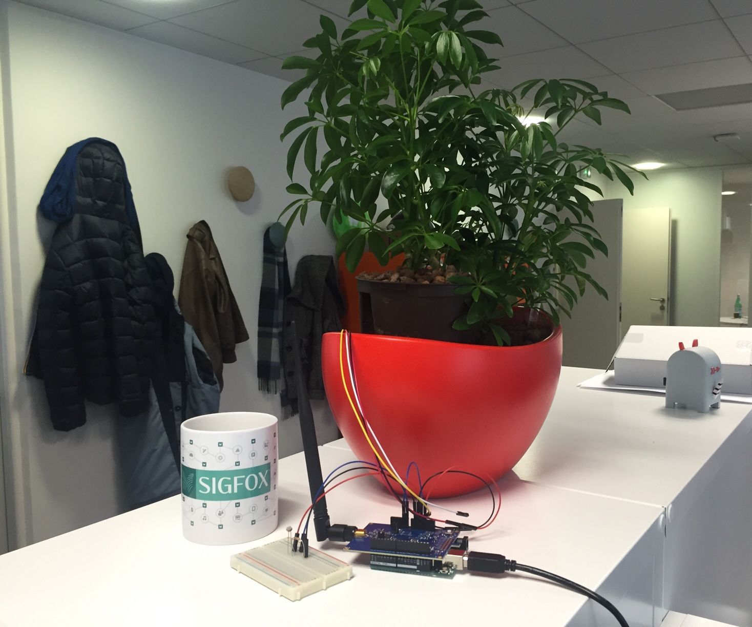 Sigfox Talking Plant