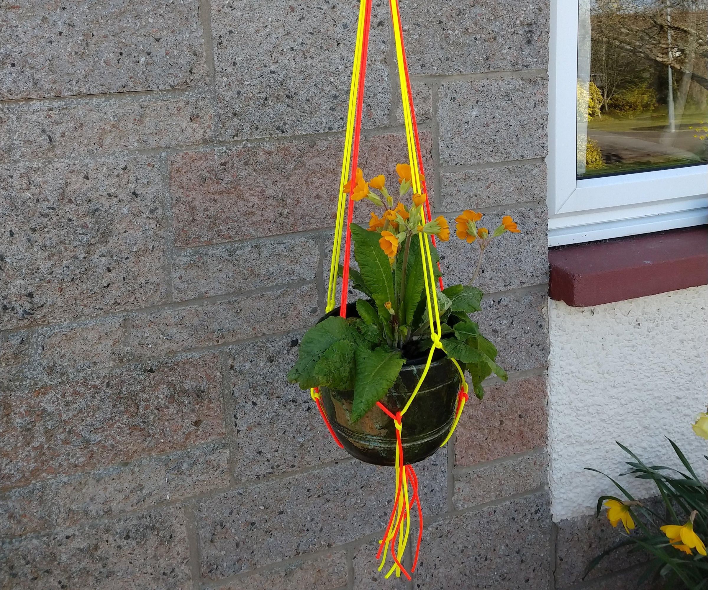 How to Make a Paracord Plant Hanger