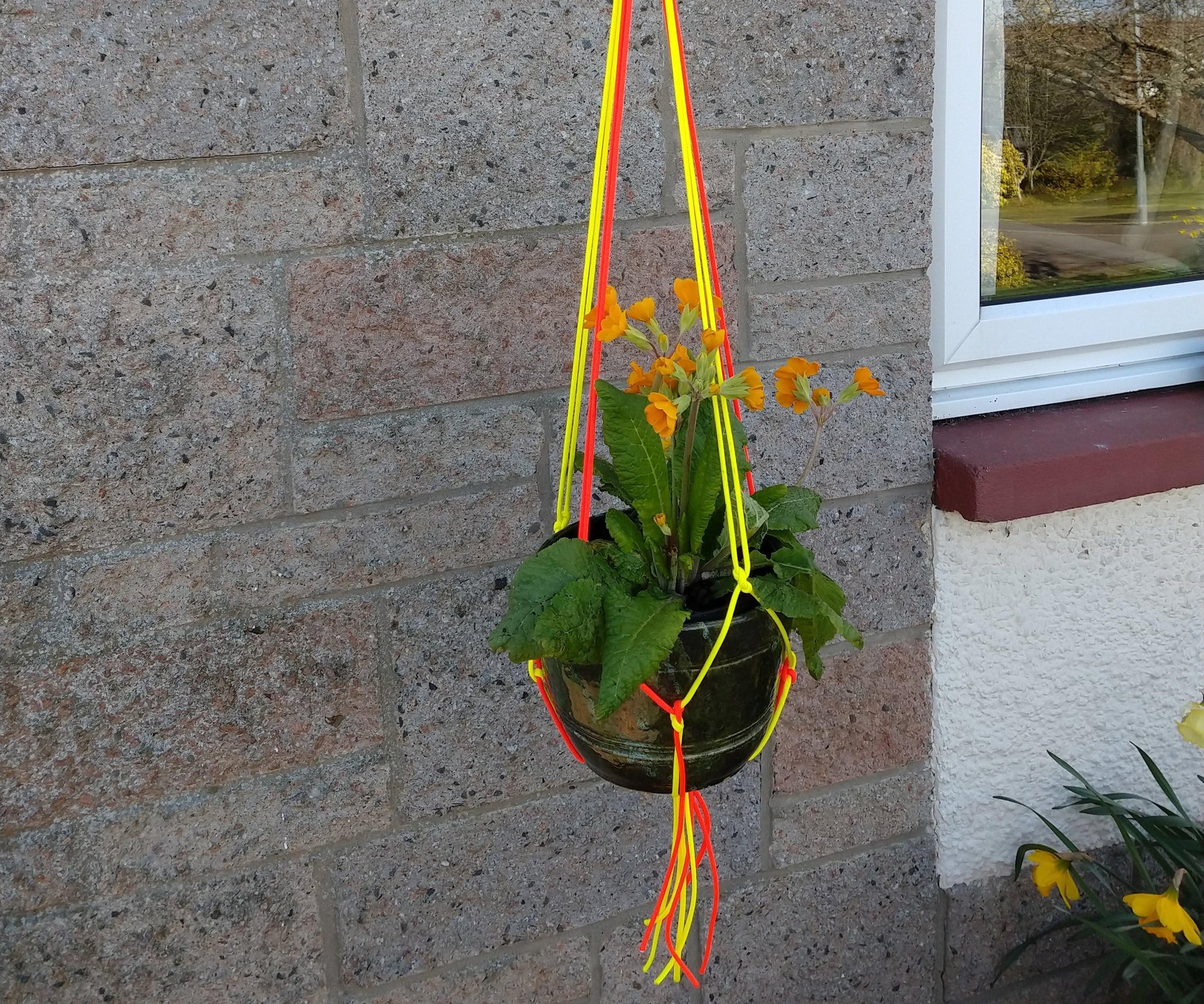 How to Make a Paracord Plant Hanger 12 Steps (with Pictures