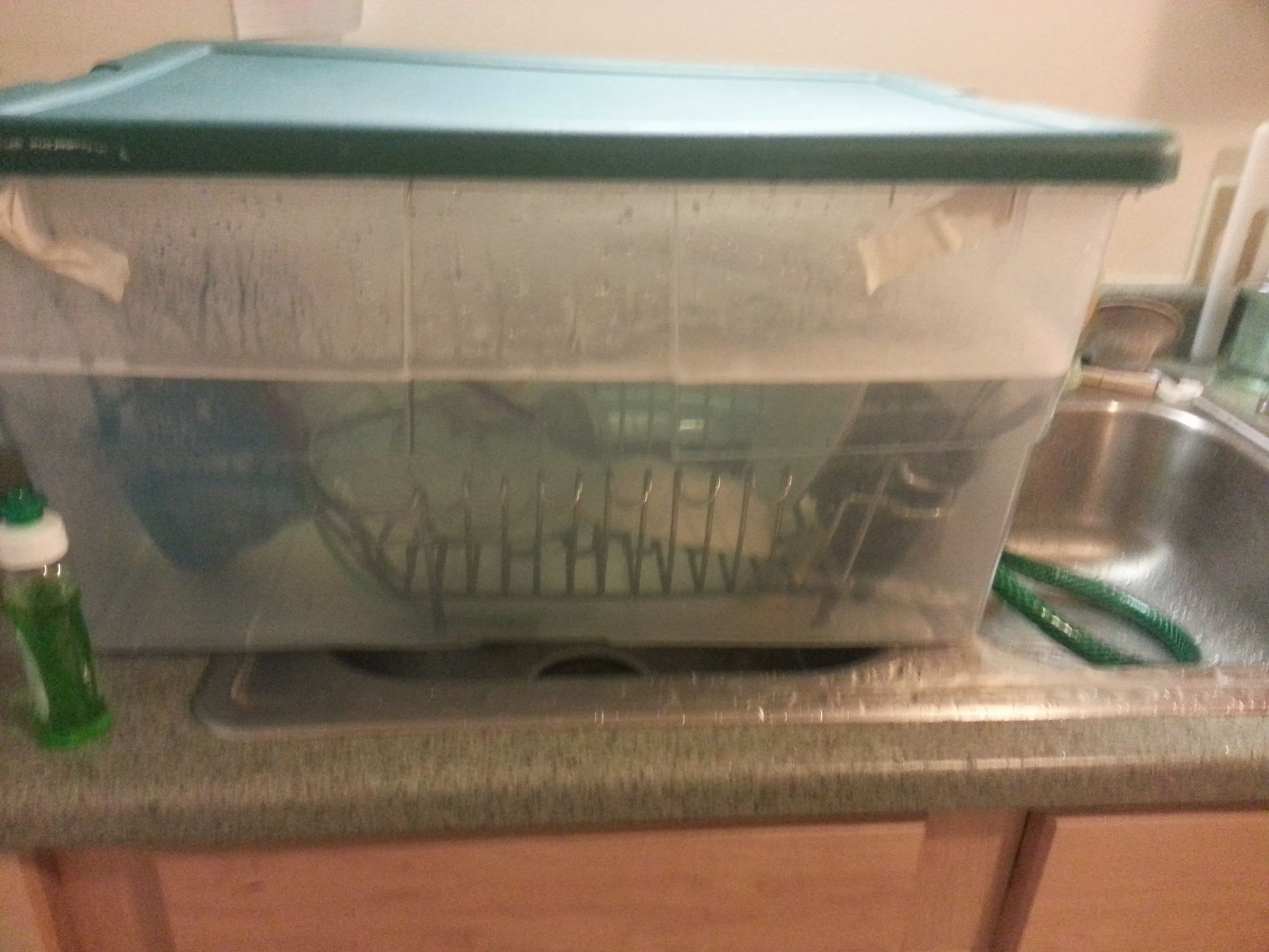 Demon Dishwasher for Cheap