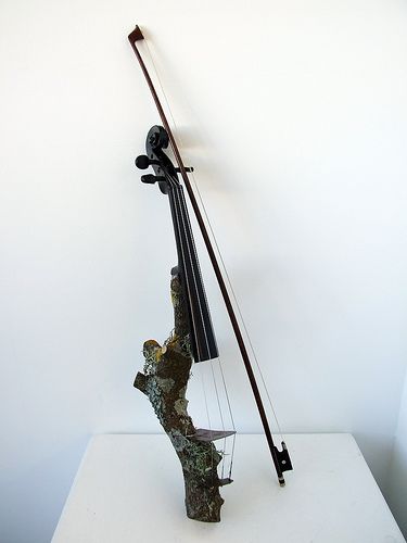 The Violog