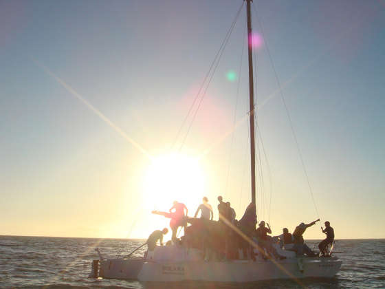 Collection Cover Image: The Free Yacht Saga