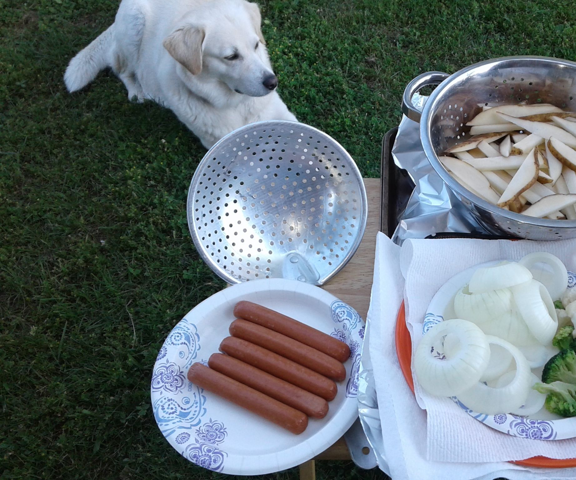 Carnival Chow Down