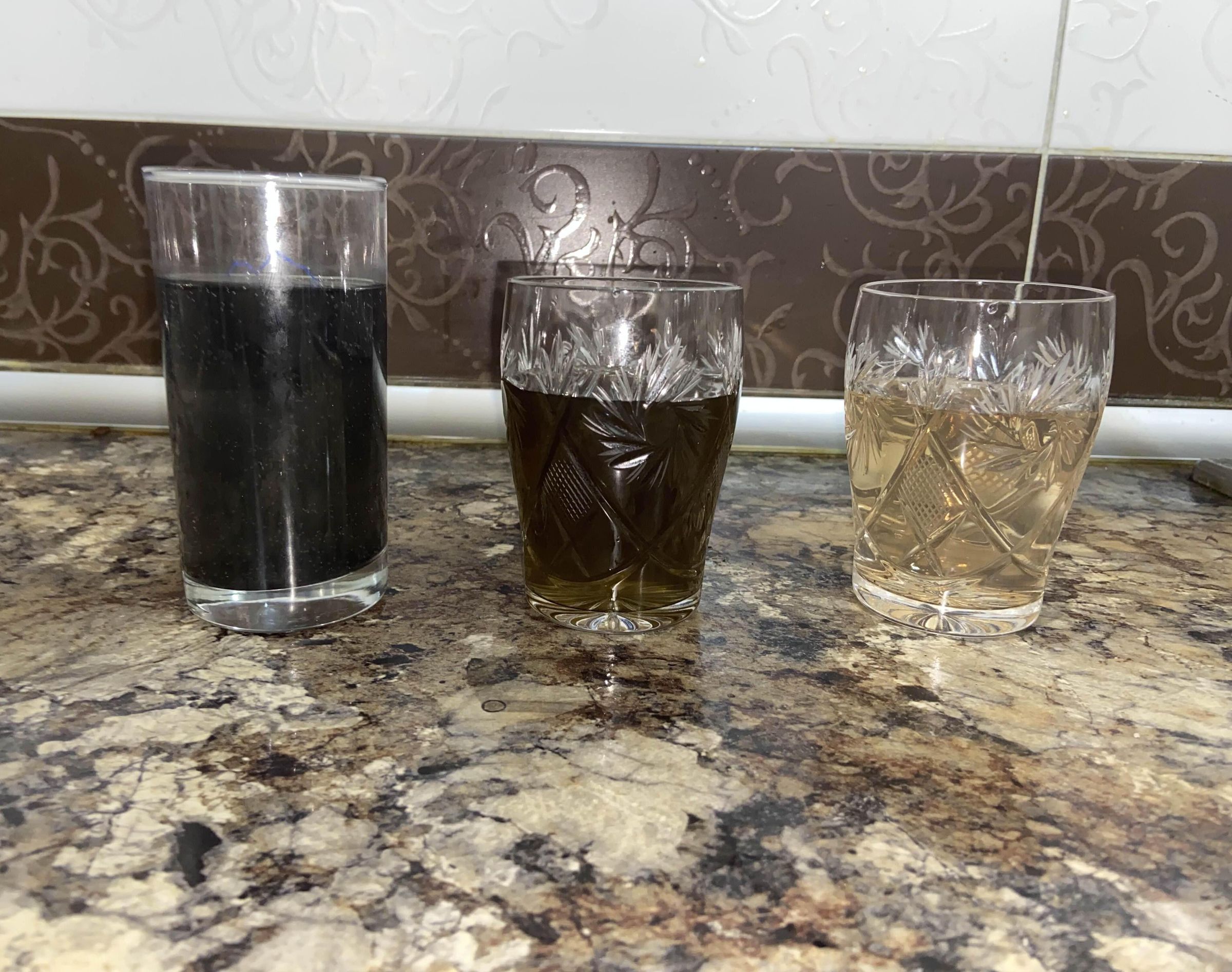Water Purification Using Natural Adsorbents. Using Dried Coffee Grounds and Dried Banana Peels