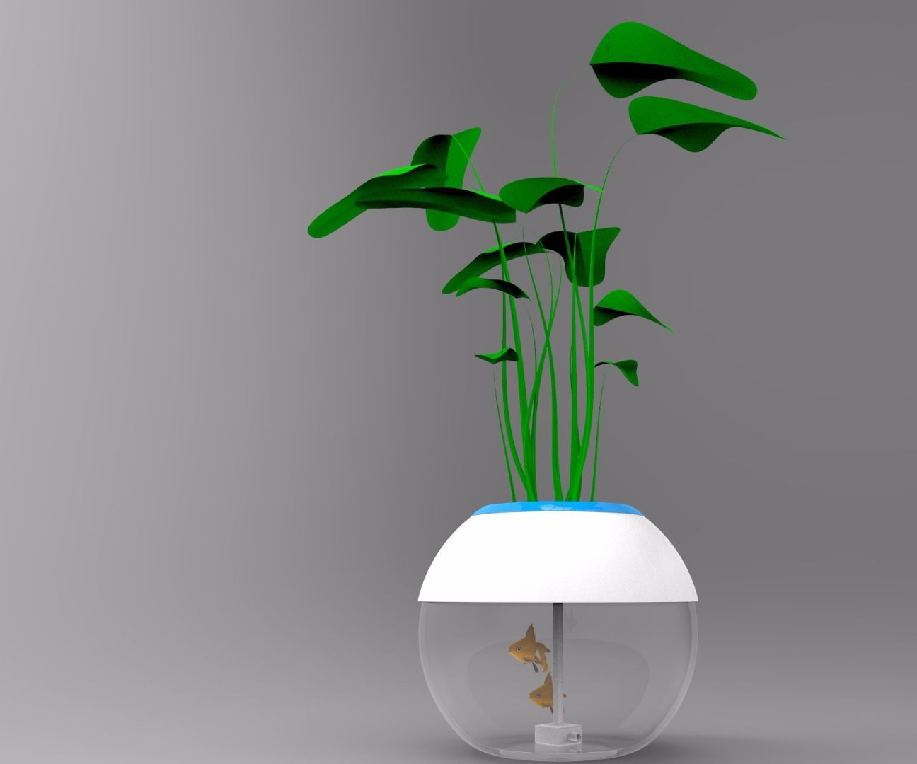 Aquaponics System