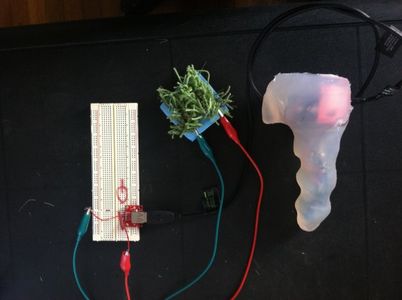 Constructing Circuit