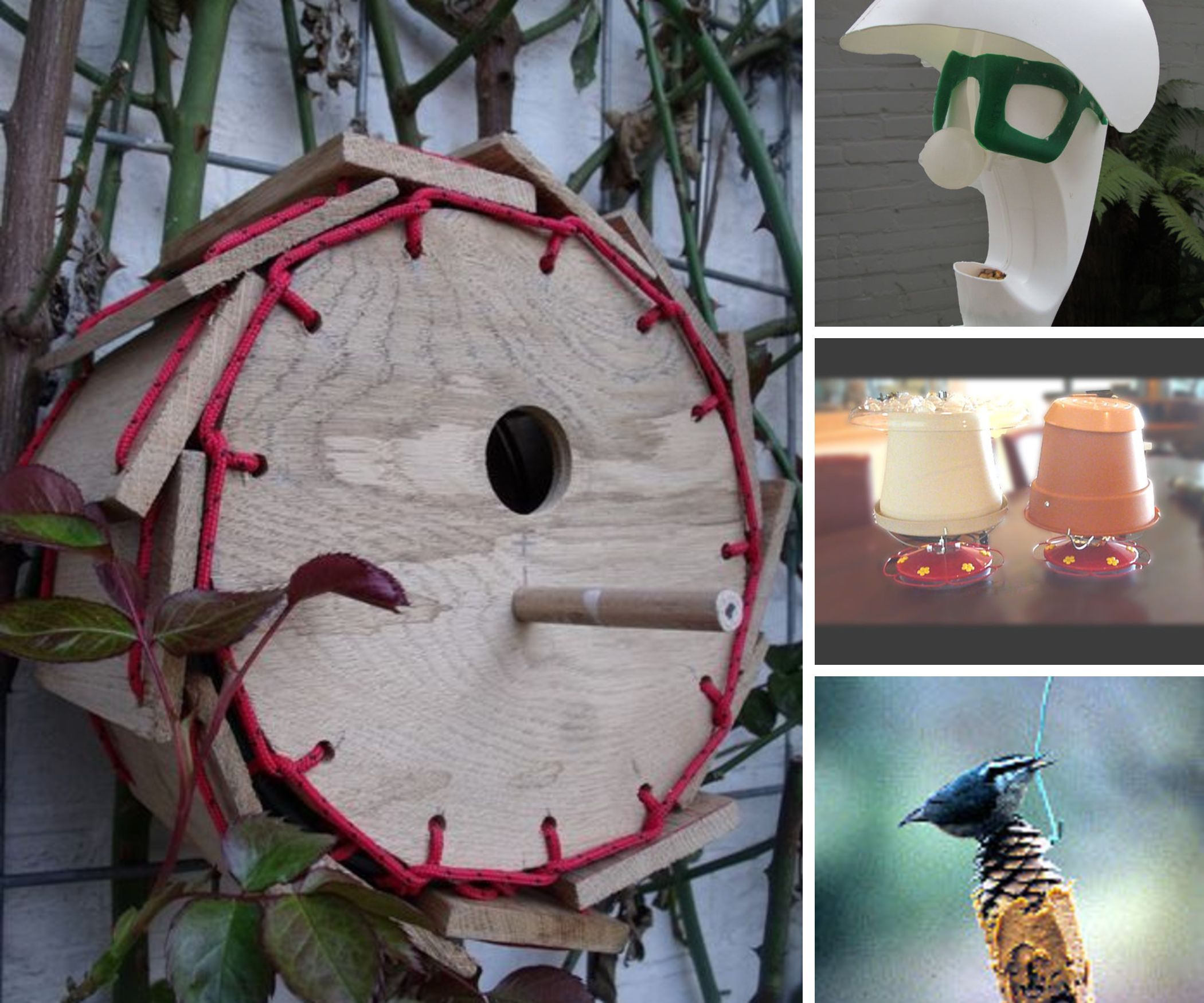 Crazy and Cool Bird Feeders