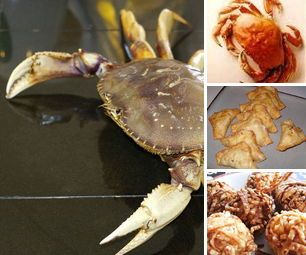 Crab Recipes