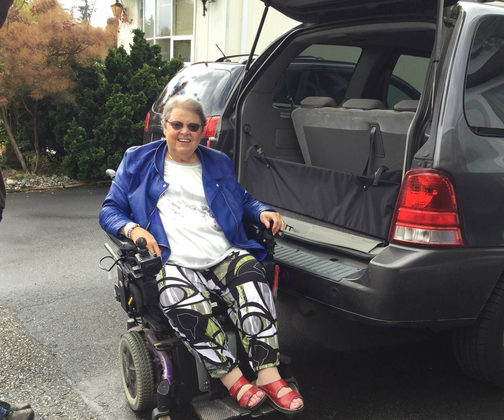 Grocery Restraint for Van / SUV