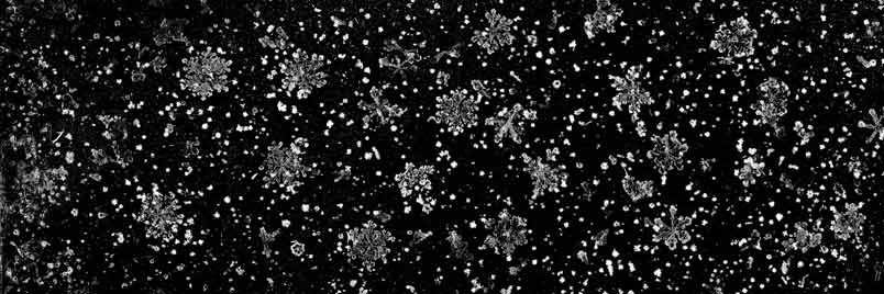 Catch a Snow Flake and Keep It Forever