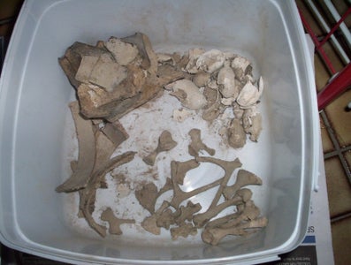 Turtley Awesome Dig-Site Discovery