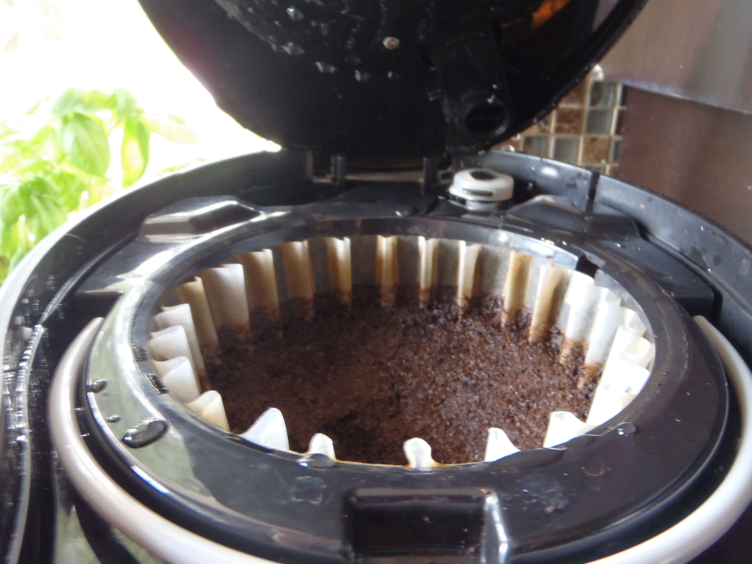 11 Unusual Uses for Coffee Filters 12 Steps (with Pictures