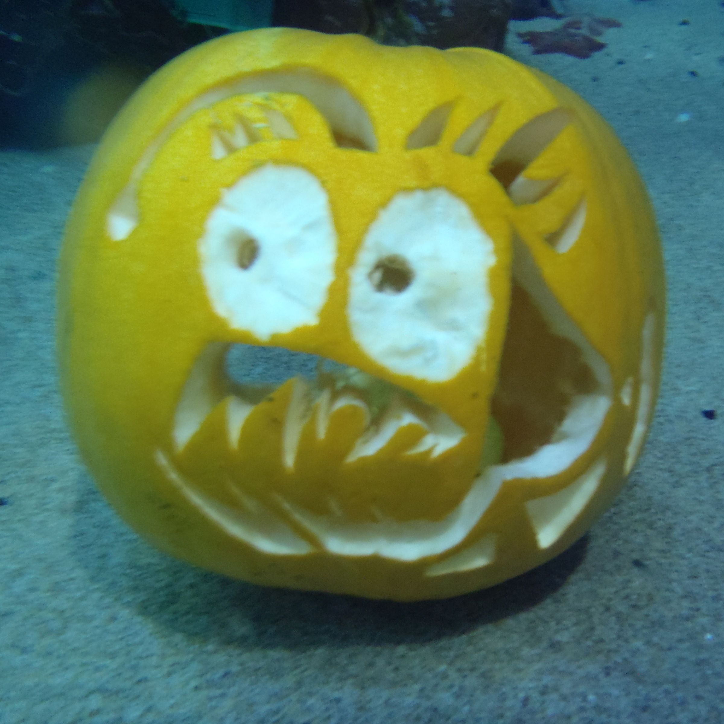 Underwater Pumpkin Carving How To 8 Steps (with Pictures) Instructables
