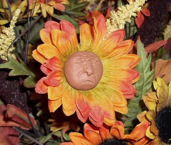 Spooky Sunflower Mod