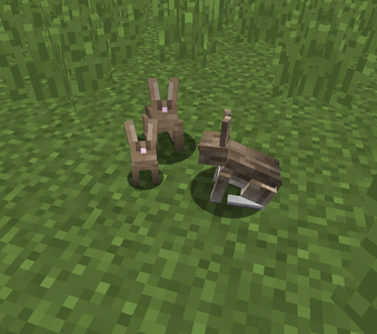 Minecraft Animals : 13 Steps (with Pictures) - Instructables