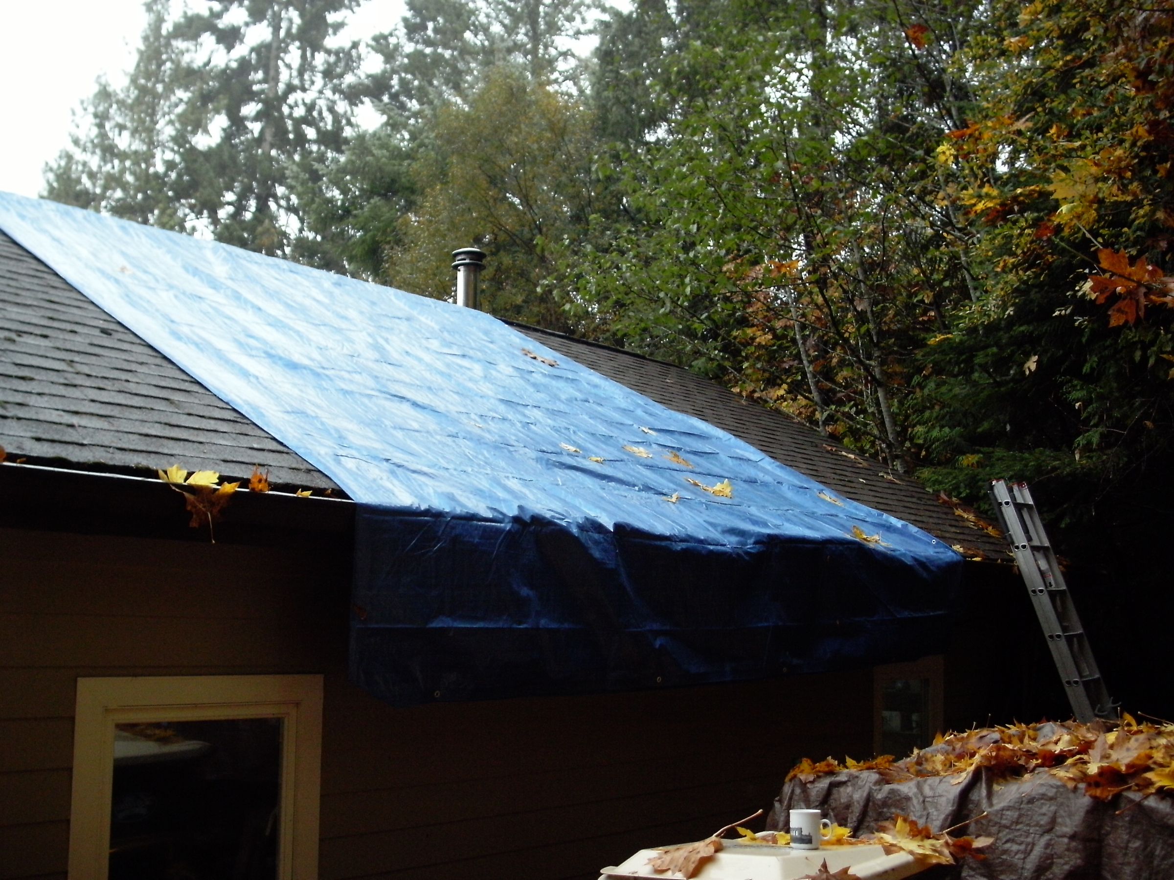 Asphalt Shingle Replacement, Stop Those Roof Leaks!