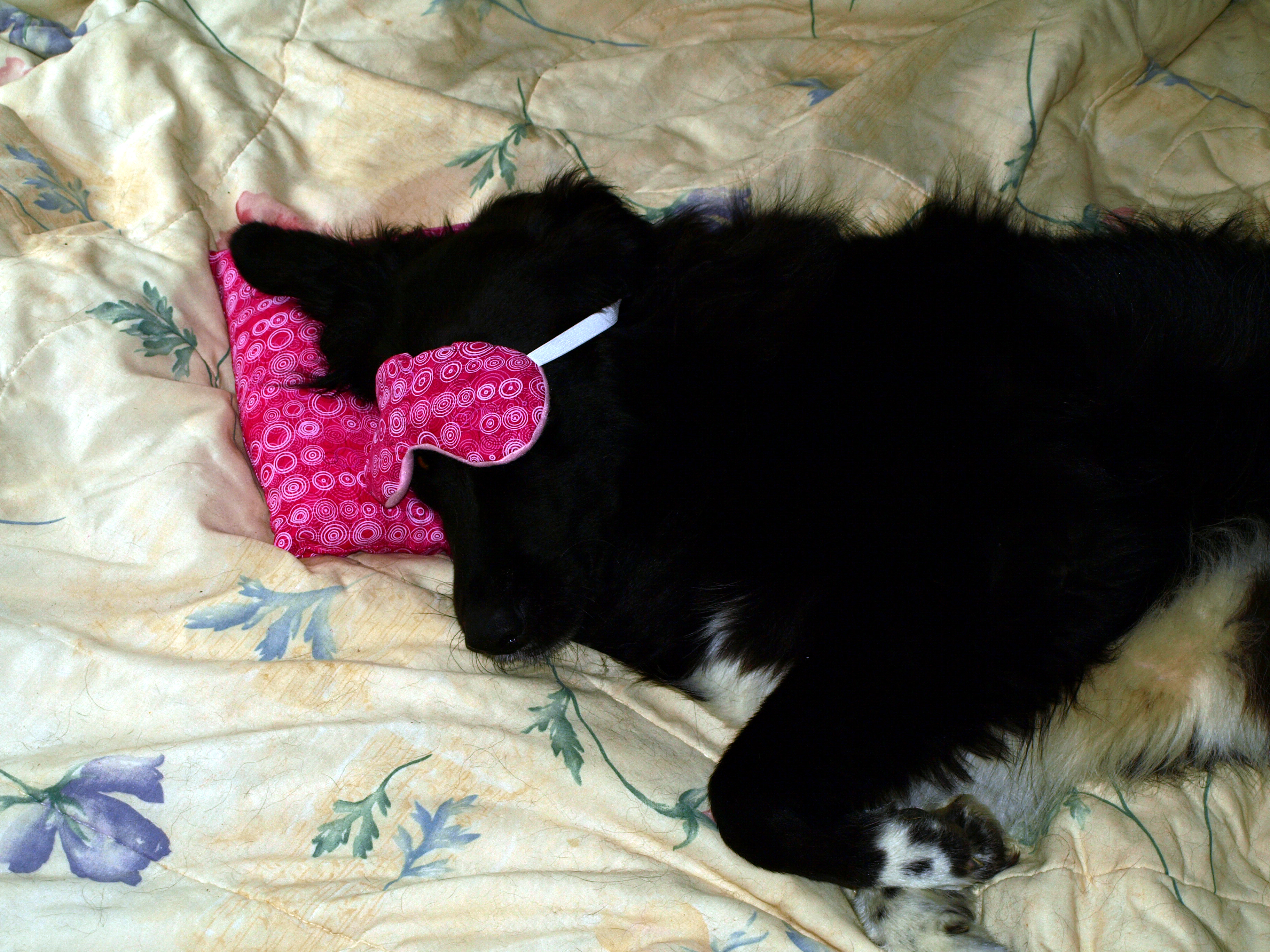 Pillow With Matching Eye Mask