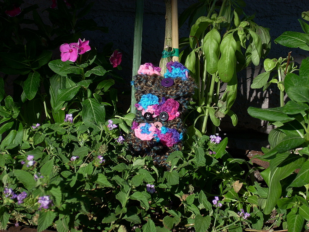 Ipod Touch Cat Purse/Case