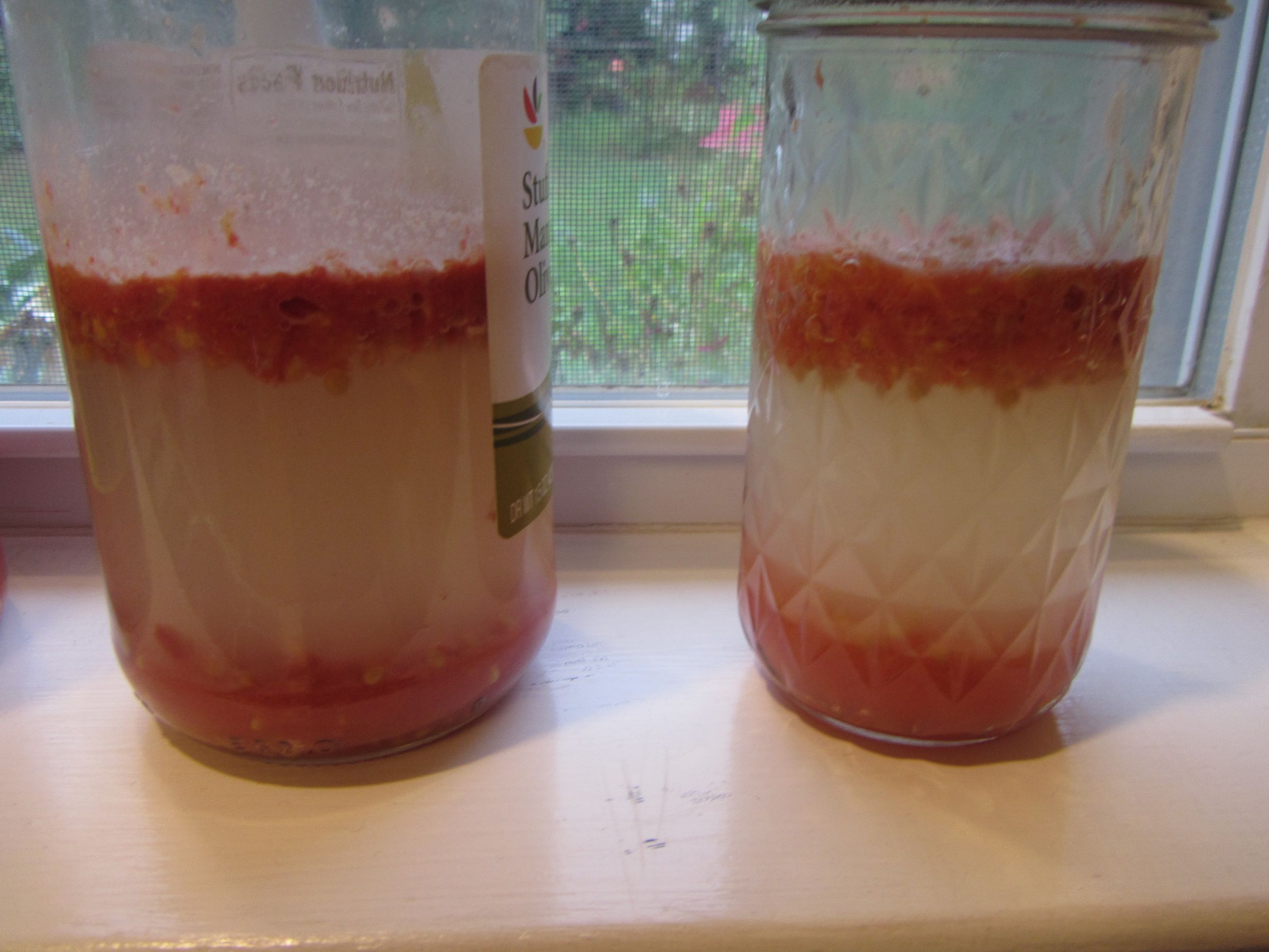 How to Ferment and Collect Tomato Seeds 6 Steps Instructables