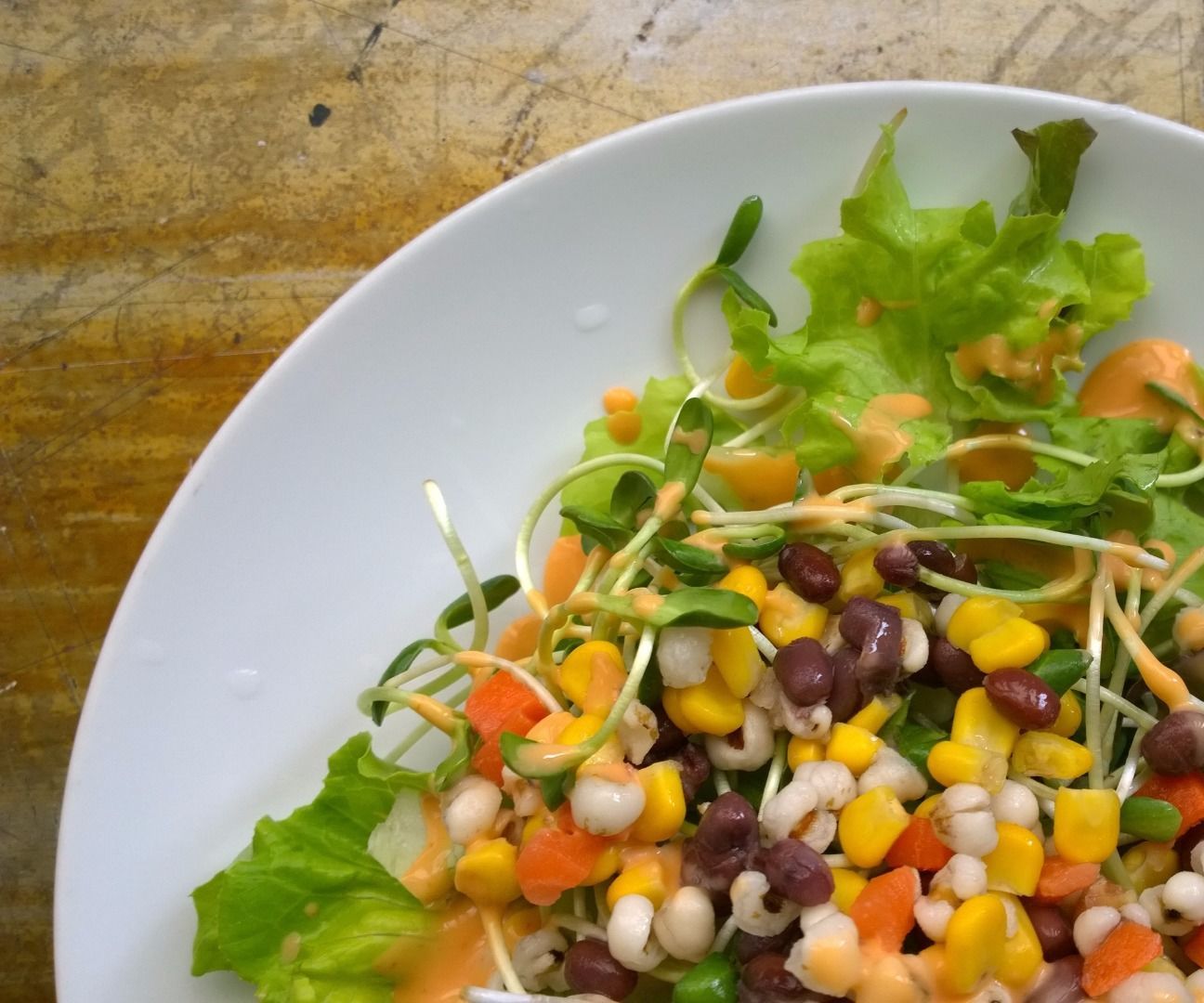 The Healthy Salad System