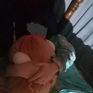 Images of Fort Being Used