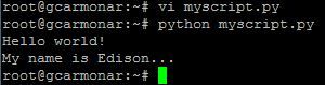 Creating and Running a Python Script