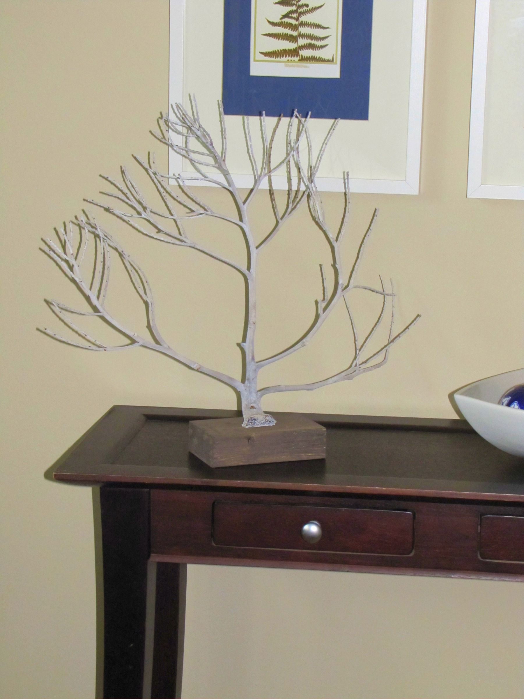 How to Make Sea Fan Art With a Palm Stalk