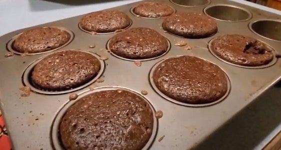 Cricket Protein Brownies