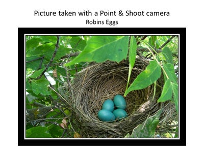 Take Great Pics, Easy Tutorial!