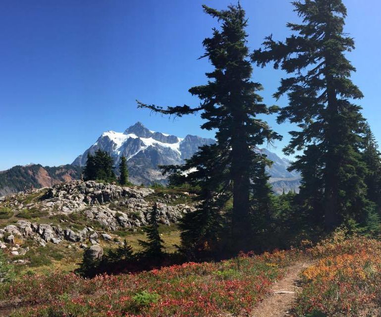 Hiking Stick to Selfie Stick and Back Again!