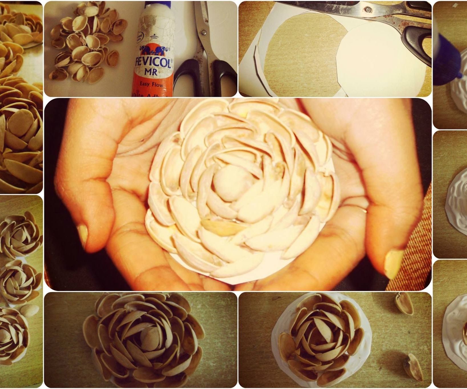 Pistachio Shell Flower