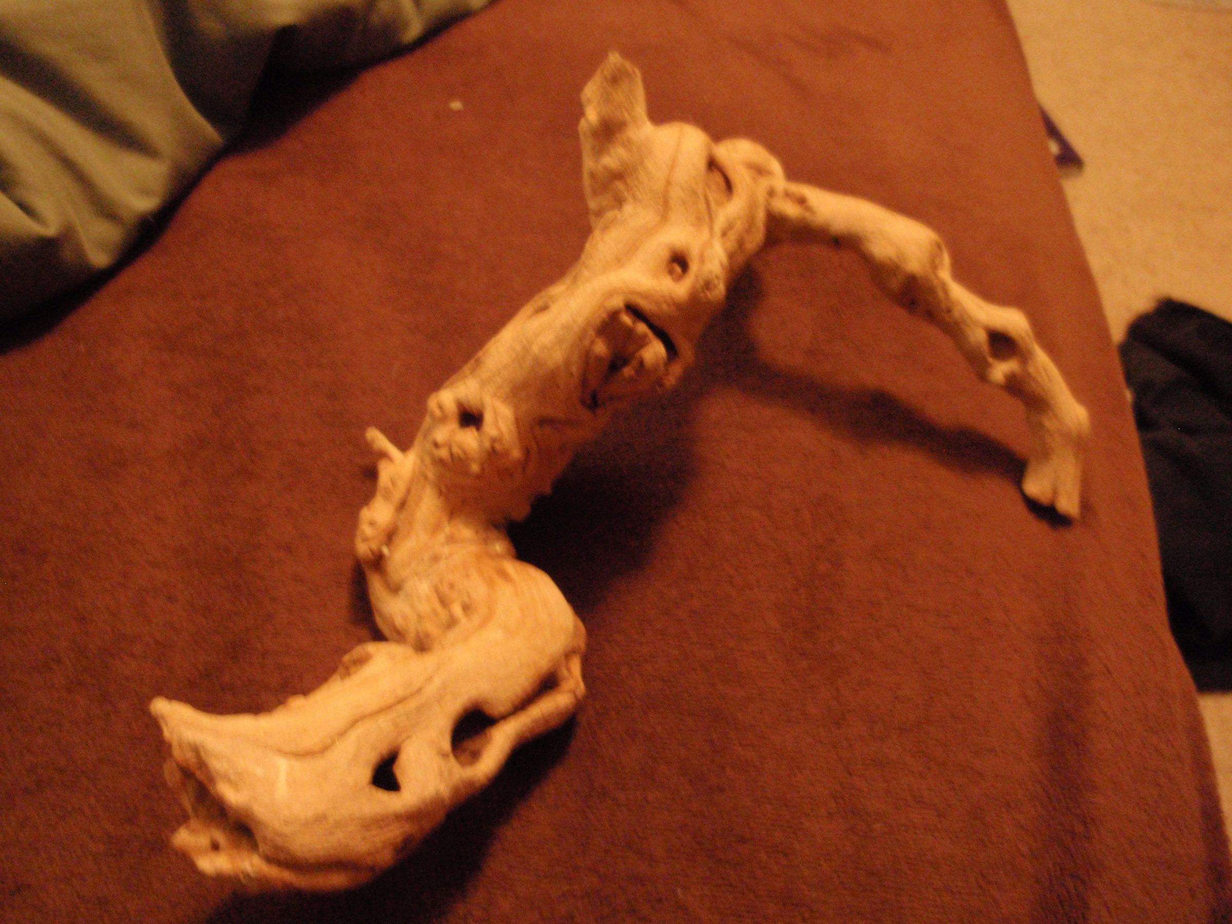 How to Keep and Maintain a Corn Snake Instructables