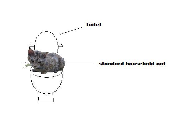 How to Train Your Cat to Use a Toilet...