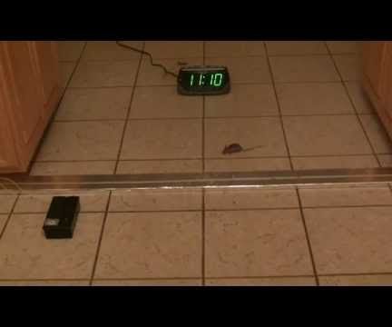Homemade Electric Fence for Mice