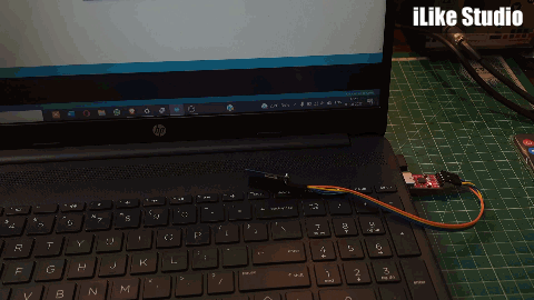 Setting Up the Module:
