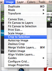 Easy Rectangular Cropping in Adobe Photoshop and the GIMP : 3 Steps ...