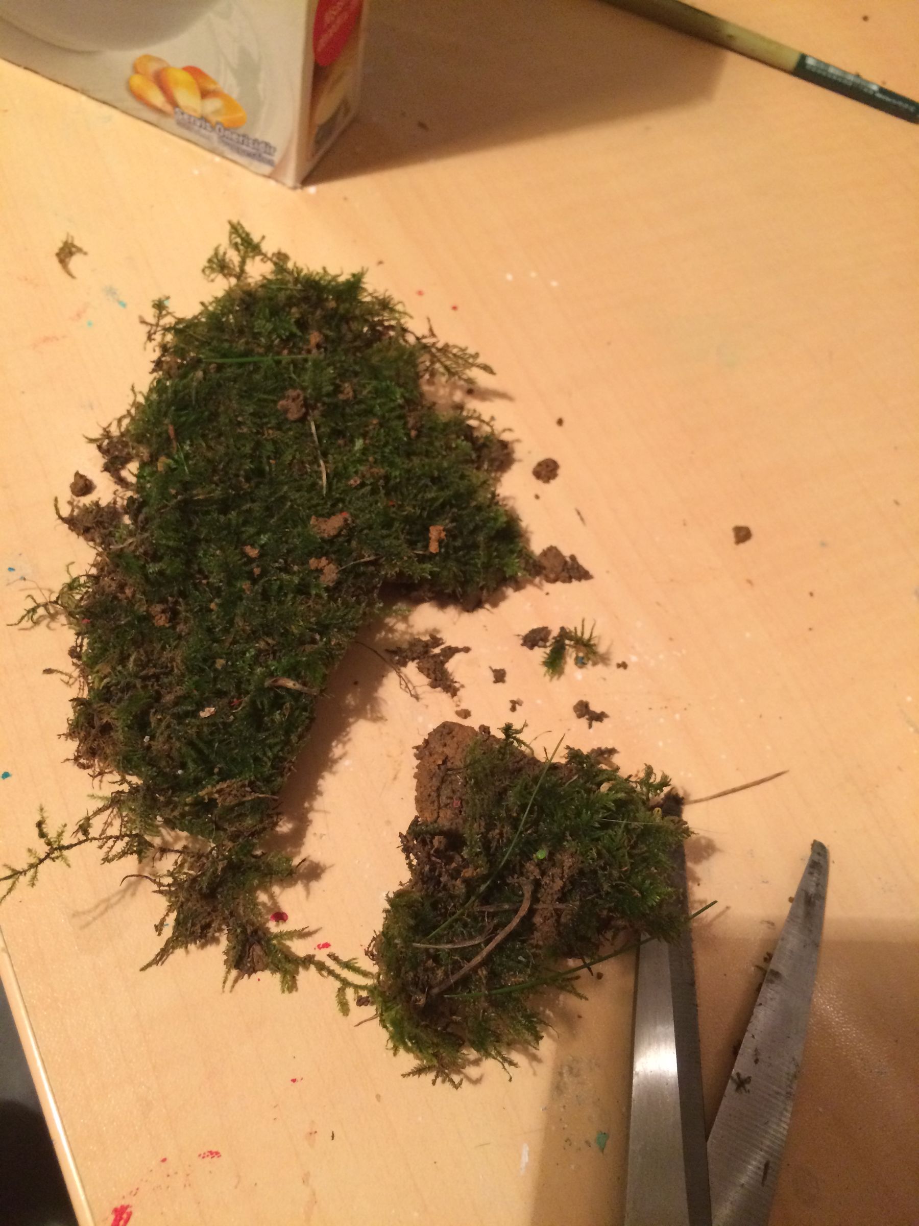 How to Make Moss Graffiti (100 Working Method) 7 Steps (with