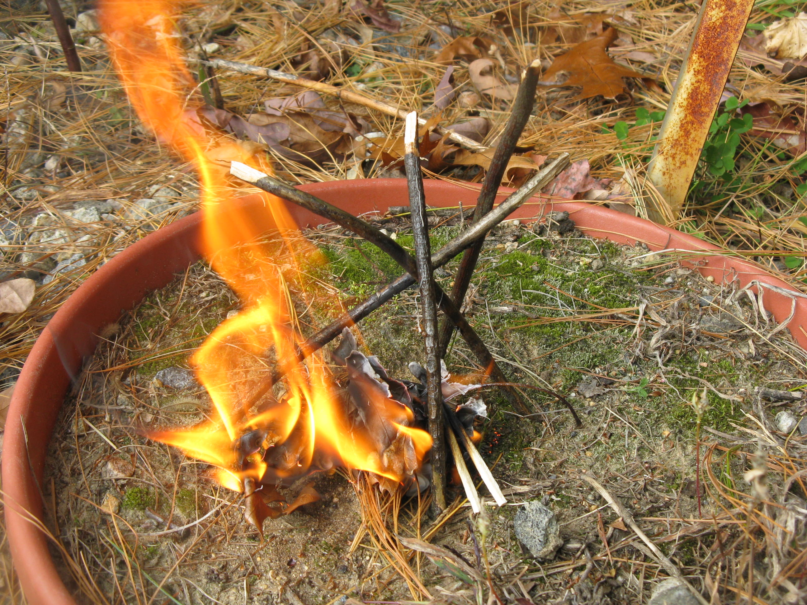 How to Start a Campfire