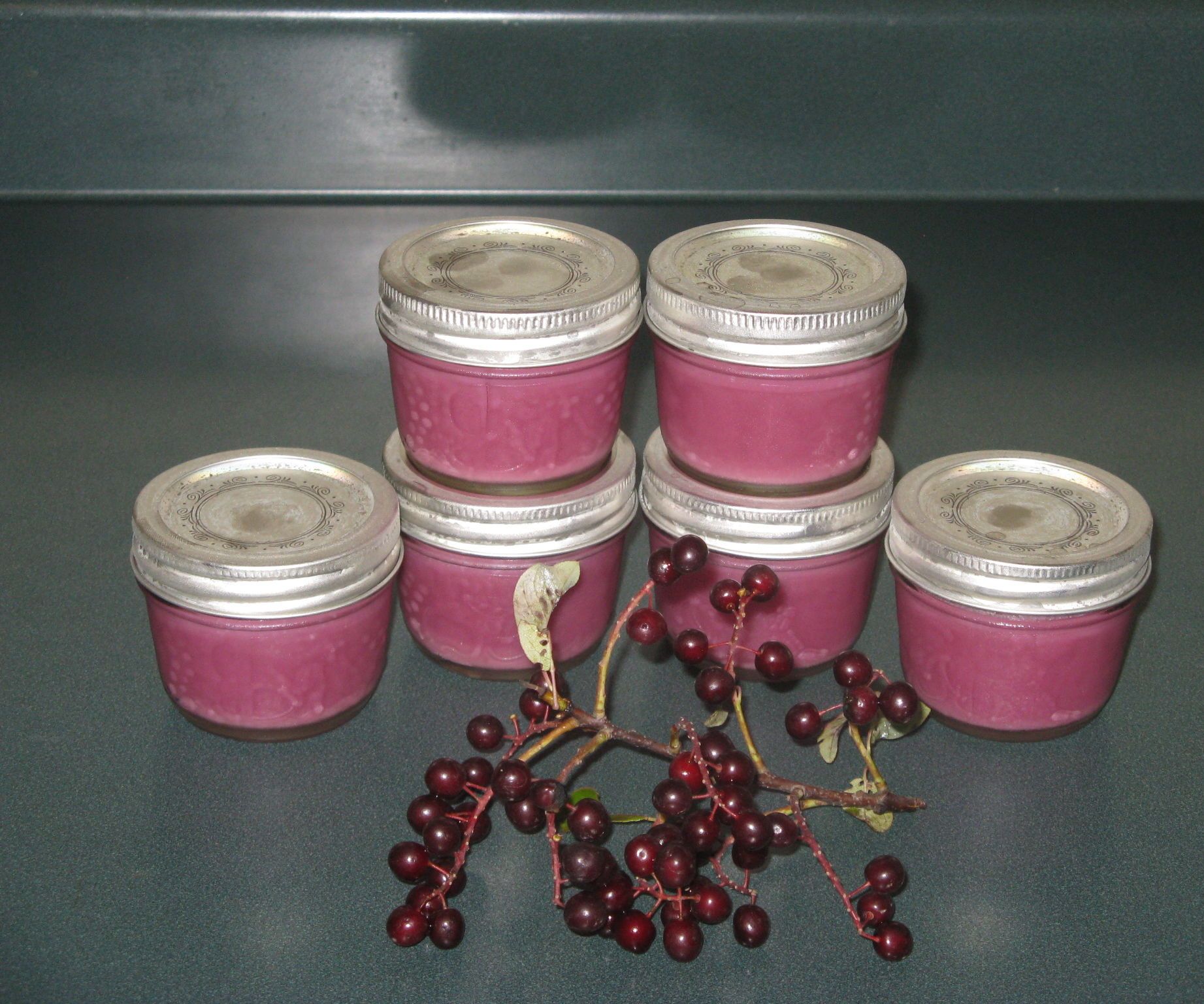 Sugar Free Chokecherry Jam 