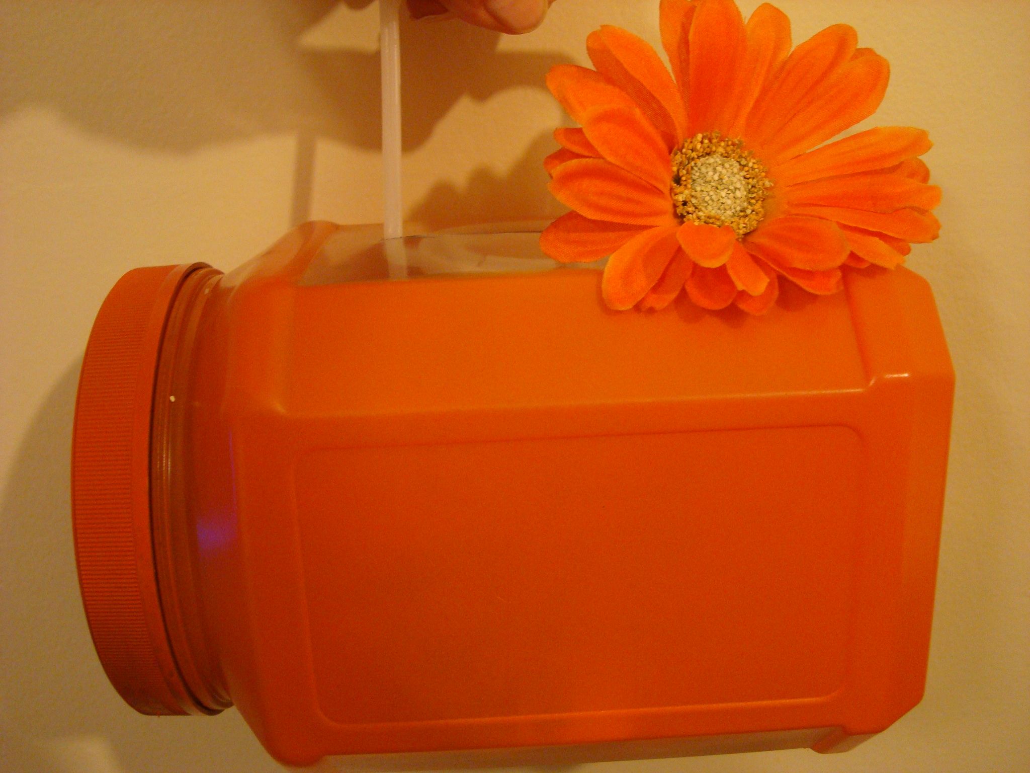 California Sunset Purse