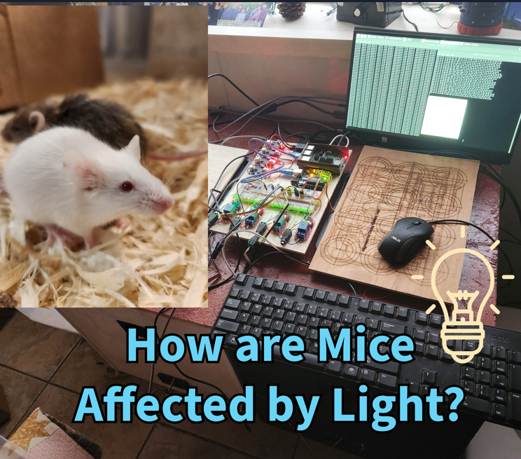 Rodent Motion Tracker and Logger - How Does Light Effect Nocturnal Animals? - Using Raspberry Pi + Arduino