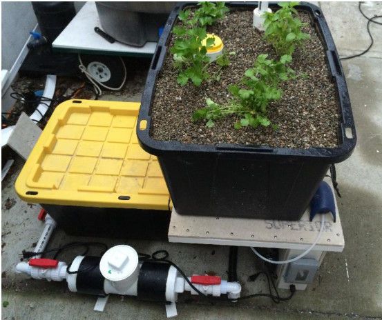 GROW-BED -- Part of Aquaponic Balcony Garden
