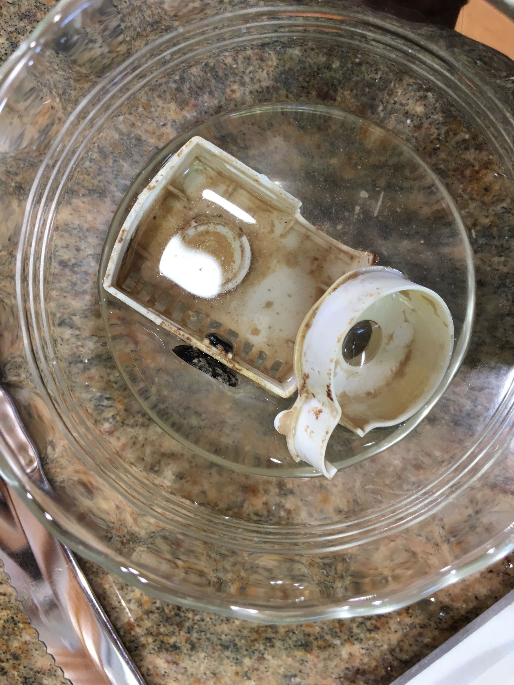 Repairing an Aerogarden Pump 4 Steps Instructables