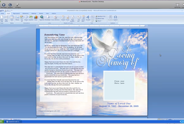 How to Copy Pages Into Microsoft Word 2003