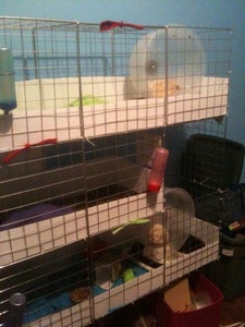 Additional C&C Cage Photos