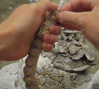 Remove Tentacles From Clay