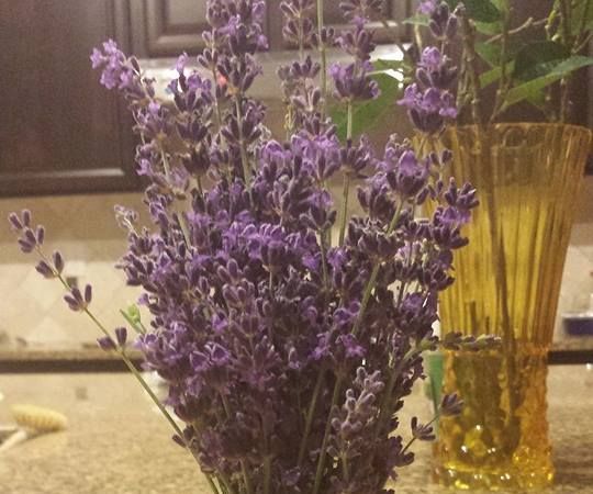 DIY Coconut Lavender Body Scrub & How to Dry Lavender.