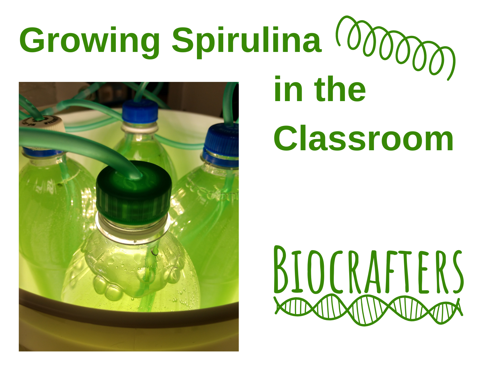 Growing Spirulina in the Classroom 18 Steps (with Pictures