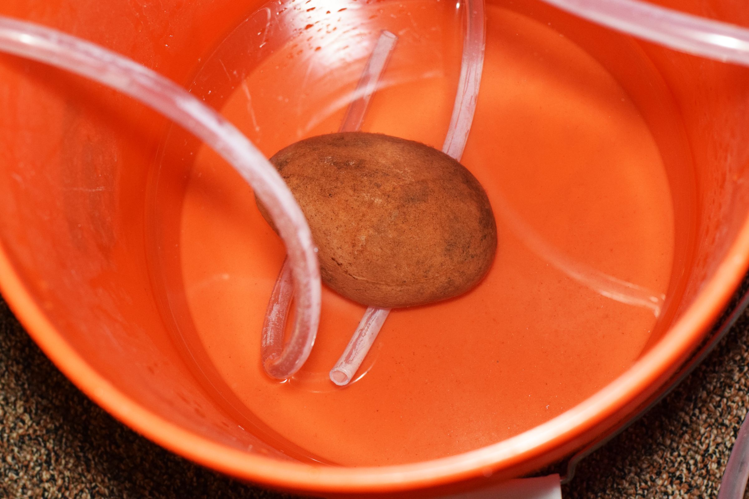 Automatic Christmas Tree Watering System Low Tech 6 Steps (with